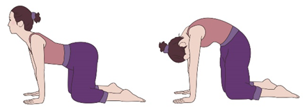 ヨガ・猫のポーズ